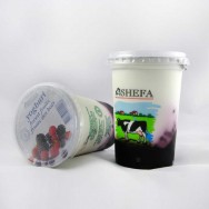Forest Fruit  Yoghurt- 6 x 500gr