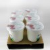 Strawberry Yoghurt - 6 x 500gr